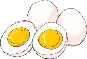 Flat Style Boiled Eggs Illustration Whole, Halved, and Eggshell Illustration vector