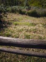 Aged wooden fence bordering grassy meadow near aosta, capturing rustic italian countryside with autumn's muted golden hues targnod photo