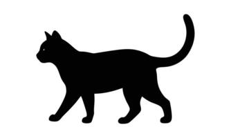 Elegant black cat silhouette walking side vector