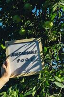 Letter board with text SUSTAINABLE FOOD on background of garden apples. Organic farming, produce local vegetables concept. Supporting local farmers. Seasonal market photo