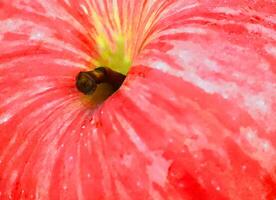 Close-up of red apple photo