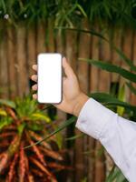 Hand hold smartphone with white screen on tropical background. Mockup for mobile app or website design. photo