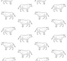 Seamless pattern of hand drawn doodle sketch standing bull isolated on white background vector