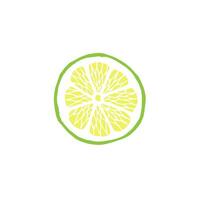 Hand drawn doodle sketch lime slice isolated on white background vector