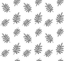 Seamless pattern of hand drawn doodle sketch rowan leaf isolated on white background vector