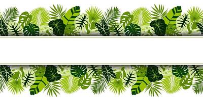 Tropical Foliage. Banner design with space for text. Greeting card, invitation or banner template with exotic leaves. illustration vector