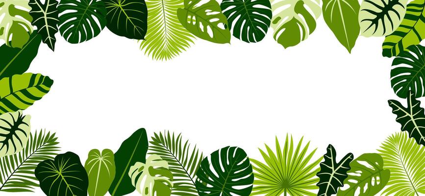 Frame with tropical leaves. Border with exotic plant leaves. Template for postcard, invitation, banner. illustration