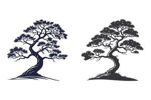 Two stylized bonsai trees, isolated on white background, with intricate branch patterns vector