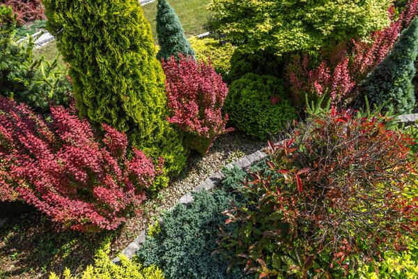 大型本 Ornamental Plants in the Landscape 71t8i6NPgVL._UF350,350_QL50_.jpg