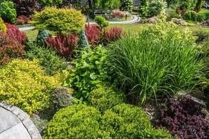 Vibrant Garden Display With Diverse Plants in a Serene Landscape During Daylight Hours photo