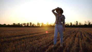 Adult agronomist in straw hat exploring barley on meadow at sunset. Female farmer examining ripe wheat at field on dusk. Beautiful scenic landscape. Concept of agriculture and agronomy business photo