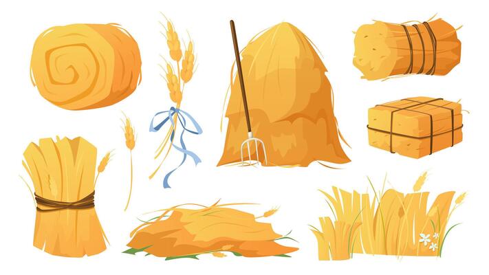 Haystacks set in flat cartoon design. Collection isolated elements of round, square and rolling shapes of hay stacks, straw heaps with pitchfork, ears, wheat or rye dry crop. illustration.