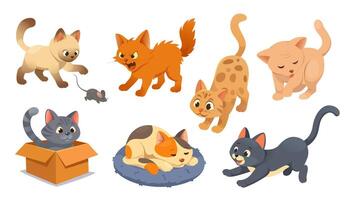 Cute playing kitties set in flat cartoon design. Collection isolated elements of different breeds and colours cats hunting mouse, jumping, angry, licking, hiding in box, sleeping. illustration. vector