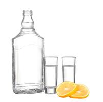 A bottle of vodka and two shot glasses photo