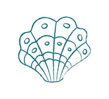 Chalk seashell doodle. Crayon shell illustration. Aquatic creature of the ocean, marine style with a doodle texture. Ideal for summer themes, educational materials, and underwater concepts. vector