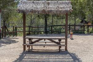 Empty gray wooden table on the green plants background with a pergola photo