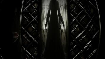 Spooky Reflection of a Ghost Woman Near the Window, Looped Cinematic Background, Figures video