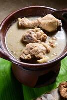 opor ayam es hervido pollo cuales es dado grueso especias desde Coco Leche cuales es adicional con especias tal como La hierba de limón, kencur, y entonces en. en el eid celebraciones eso es por lo general hecho festivo. foto