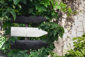Wooden directional signpost in a garden showing two arrows toward different paths. photo