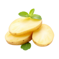 Unique style potato slice on transparent background png
