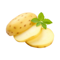 Potato slice for digital use on clear background png