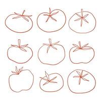 Line Art Tomato Vegetable Element. A minimal collection of tomato illustrations in hand drawn red line art featuring various stem styles and organic shapes. Perfect for food icons farm and packaging vector