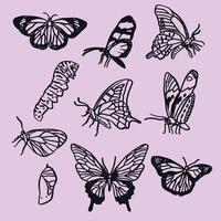 Set of hand-drawn butterfly illustrations in line art style. Delicate, decorative, and versatile design vector