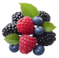 Assorted fresh berries with leaves image isolated transparent. Top view blackberries, raspberries and blueberries cut out . Fruits organic food cutout element object photography png