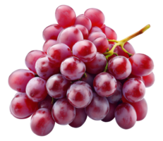 Plump bunch of red seedless grapes image isolated transparent. Vitis vinifera cut out . Harvest viticulture. Nutritious snack. Winegrape cutout element object photography png