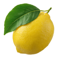 Whole lemon with leaf image isolated transparent. Vitamin C citrus limon cut out . Lemonade ingredient. Raw produce. Sour citric fruit cutout element object photography png