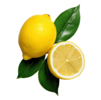 Whole lemon and halved citric fruit on leaves image isolated transparent. Vitamin C citrus limon cut out . Lemonade ingredient. Sour fruit cutout element object photography png