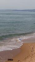 Vertical View of a Sandy Sardinian Coast video
