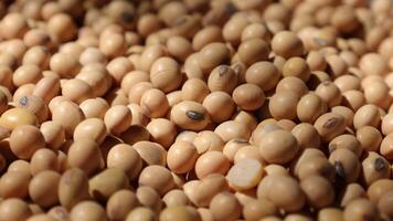 soy beans are piled up in a pile video