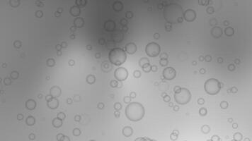 Floating Translucent Spheres Create A Soft Ethereal Effect Against A Graduated Grey Backdrop video