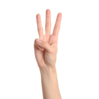 Hand Showing Number Three on Transparent Background png