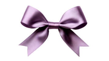 centered on a clean, stark backdrop is a meticulously tied bow png