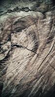 Vintage sepia toned wood texture background. Rustic stop motion animation of timber with natural grain patterns, cracks, and rich earthy tones. Abstract grunge wooden texture. Full HD loop. video
