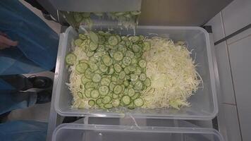 Electric vegetable cutter quickly cuts cucumbers video