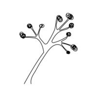 One Line Drawing of Twig , Botanical arts. Hand drawn continuous line drawing of abstract flower, illustration, design. Outline drawing. Simple one line style, linear sketch. vector