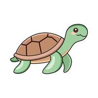 illustration of A Turtle vector