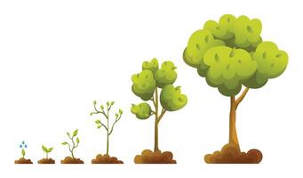 Trees Growth Stages Throughout Various Times and Seasons vector