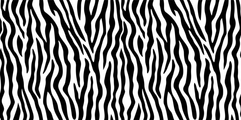 High contrast black and white zebra pattern seamless abstract animal print for backgrounds wallpaper textiles fashion wild jungle style safari modern fabric surface design wildlife concept