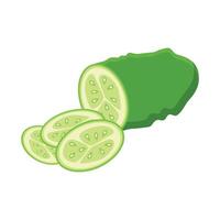 Green cucumber slices with slices cut out of them vector