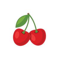 Two cherries with leaves on a white background vector