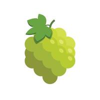 Grapes icon illustration vector