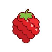Raspberry icon illustration vector
