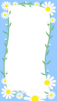 Chamomile frame with a summer mood png