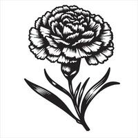Carnation Flower Emblem vector
