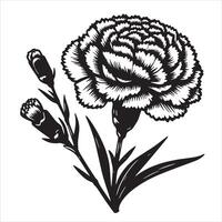 Soft Carnation Colors vector