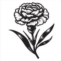 Carnation Line Art vector